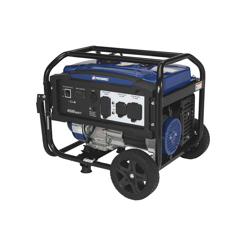 Powerhorse Portable Generator — 4500 Surge Watts, 3600 Rated Watts (102223)